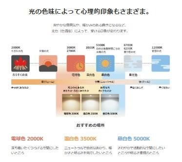 照明に関する基礎用語と照明器具交換時の注意点