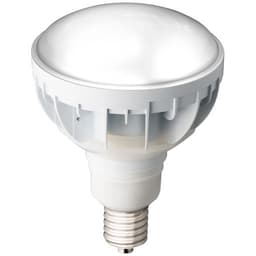 岩崎電気 LDR30N-H-E39-W850 LEDアイランプ