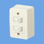 パナソニック  WS3900W  2連タンブラスイッチ