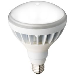 岩崎電気 LDR11N-H-W850A LEDアイランプ