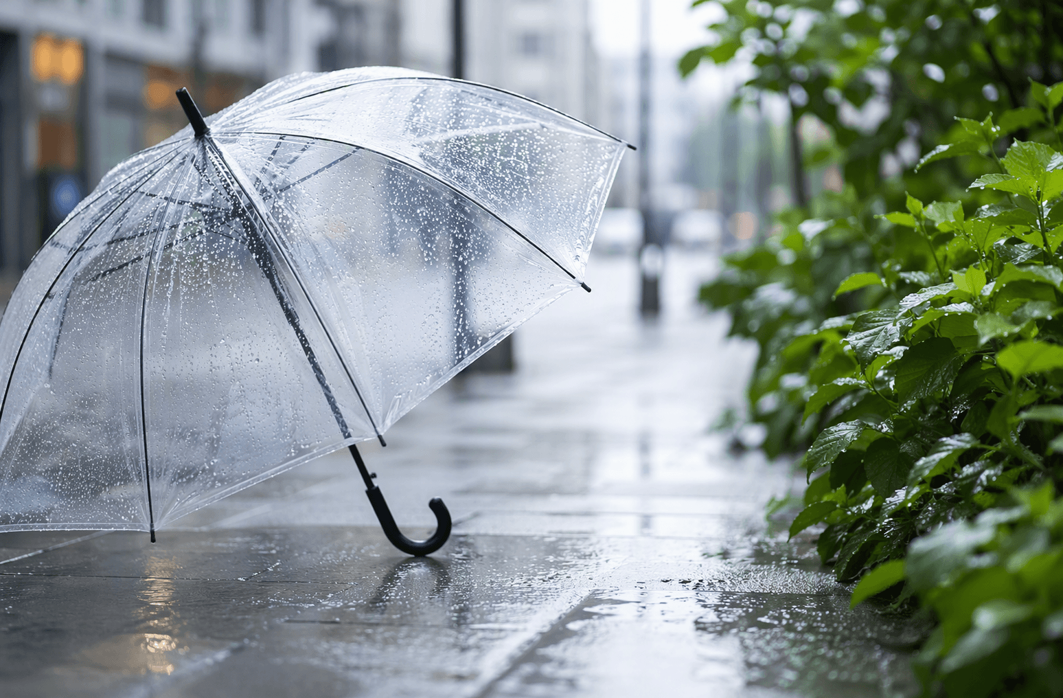 ☔ 日本とビニール傘の消費量から見える“当たり前の問題”