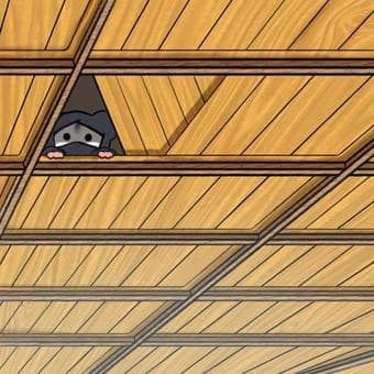 天井裏ってどうなっている？ 実は建物を支える設備がぎっしり！