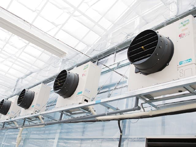 ピーマンハウス栽培におけるヒートポンプ導入事例 ― 収量安定と燃料コスト削減を両立