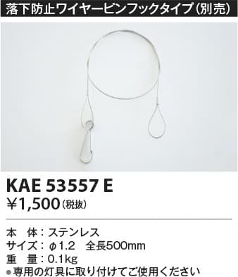 KAE53557E   落下防止ワイヤーピンフックタイプ