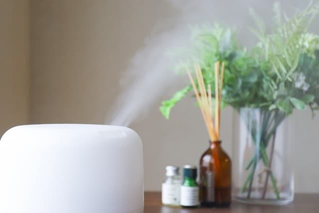 1月の深刻な乾燥に打ち勝つ「加湿器選定」の最適解