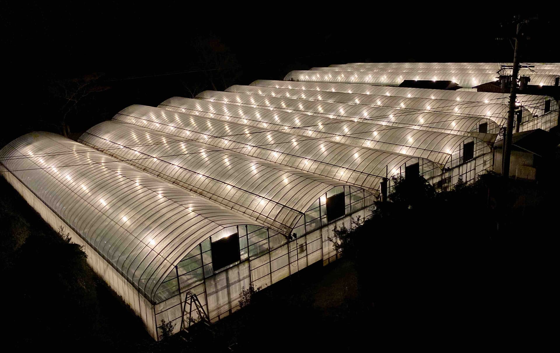 ビニールハウスと電気の関係性｜安定生産を支える電気設備の重要性を徹底解説