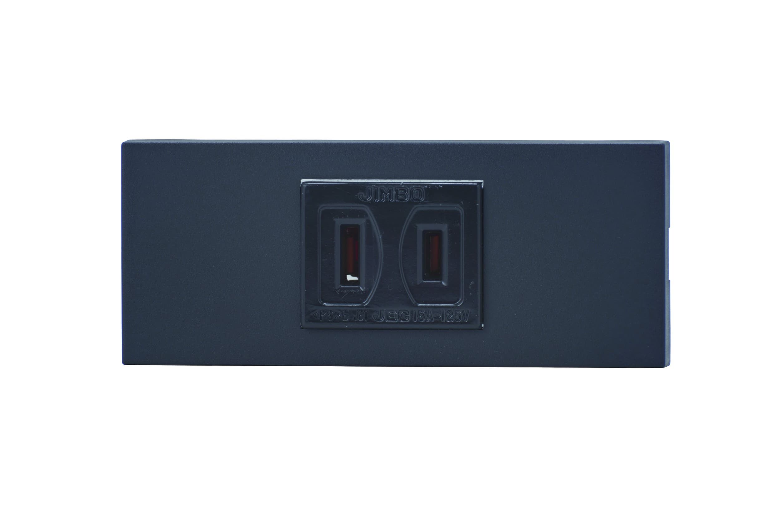 神保電器 KAG-1502   家具・機器用 コンセント/スイッチセット