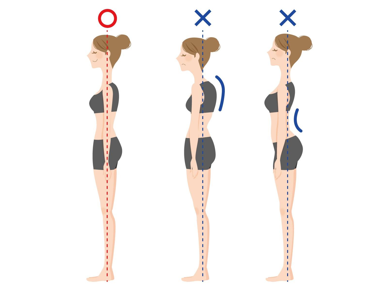 姿勢から考える標準体型の維持